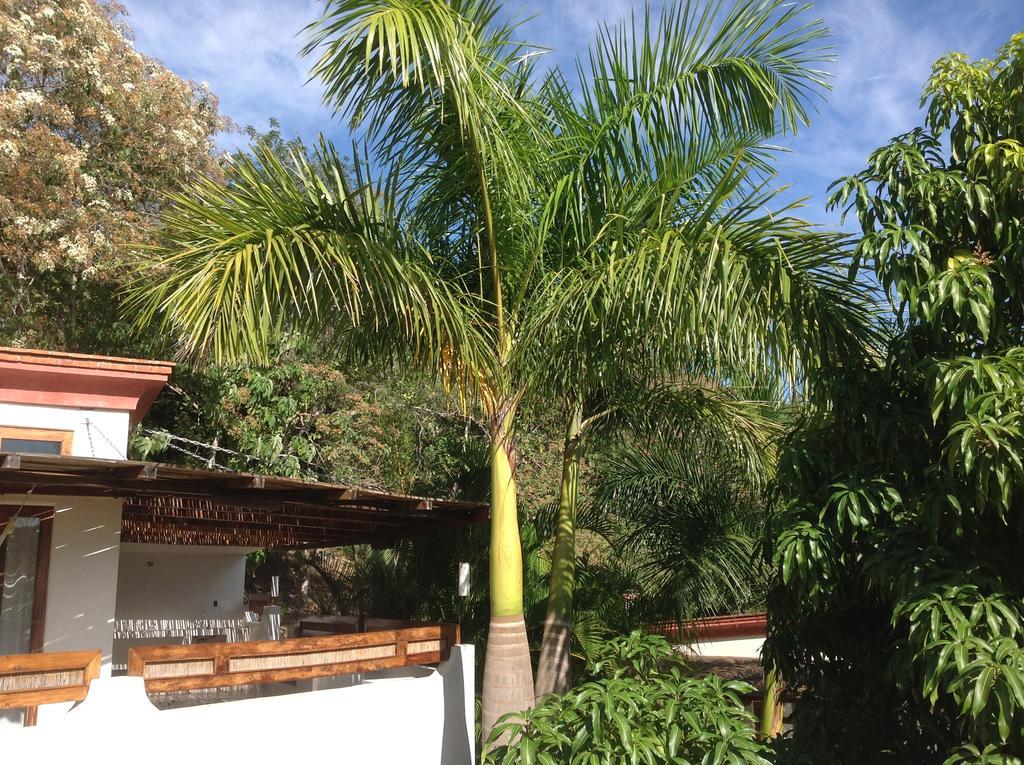 Hôtel Casa Flor De Mar à Zipolite Extérieur photo